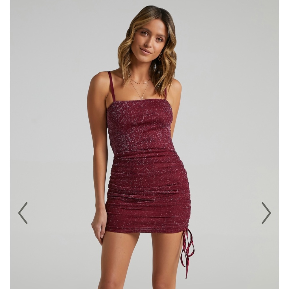 Showpo Wine Mesh Mini Dress
